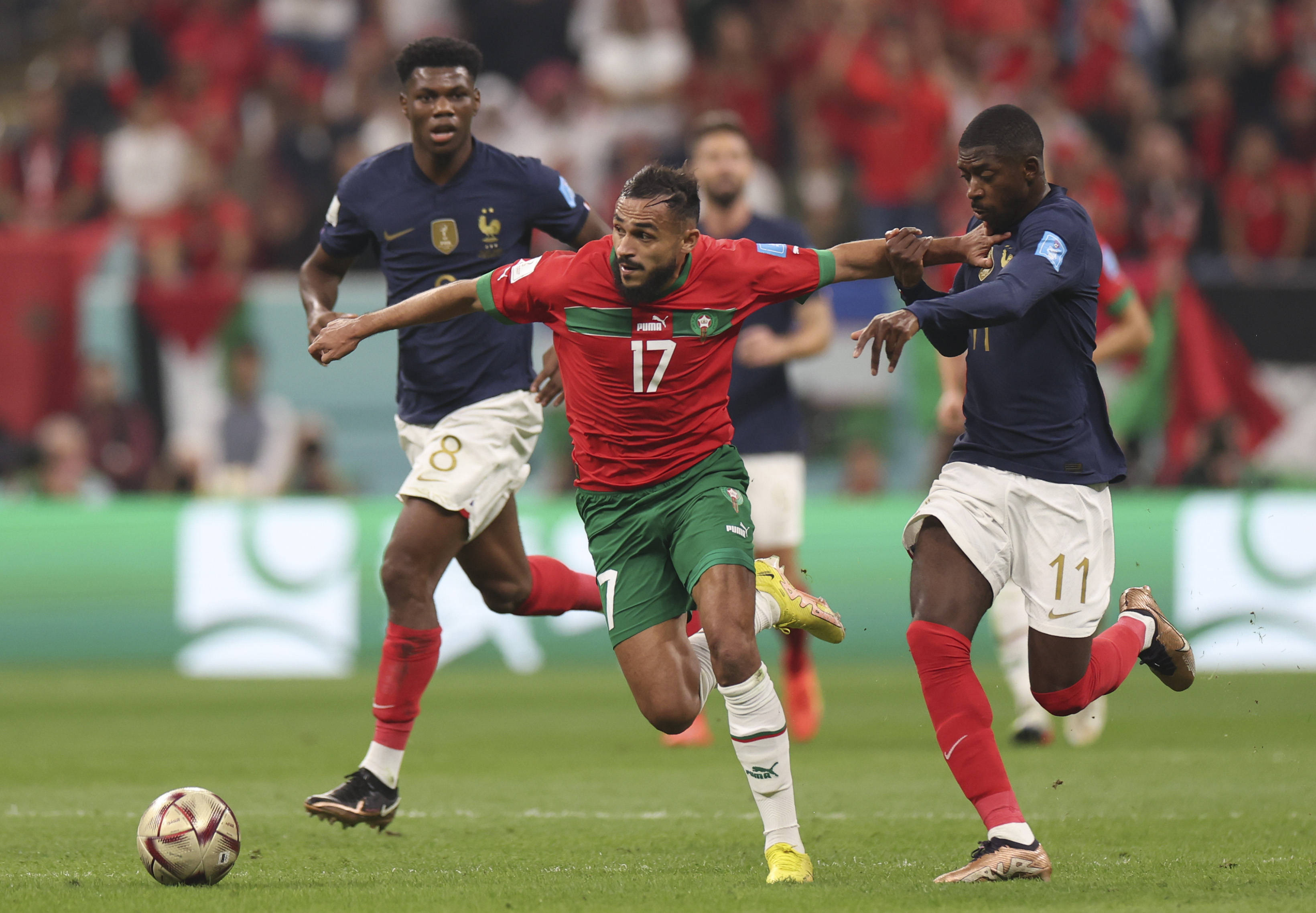 俄羅斯足協就俄羅斯國家隊與俱樂部被全球禁賽提起上訴.